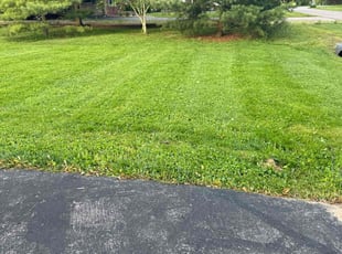 Bri G.'s Lawn Mowing Service service result