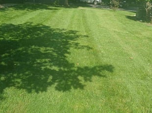 Robin L.'s Lawn Mowing Service service result