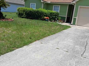 Bush Trimming by Kerline Jean for Aldo B. in Yulee, FL