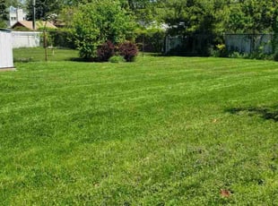 Ken S.'s Grass Cutting service result
