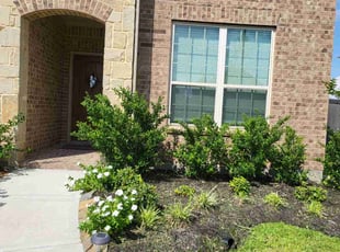 Weeding by Briana Rivera for Shaquetta J. in Richmond, TX