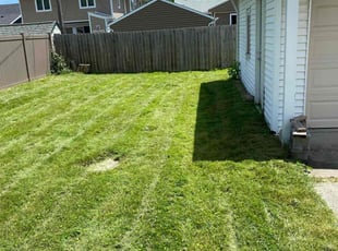 Randy J.'s Lawn Care service result
