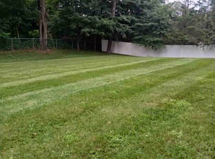 Elizabeth B.'s Lawn Service service result