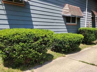 Bush Trimming by Anthony Coleman for Tk S. in Cleveland, OH