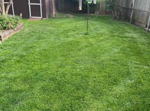 Leaf Removal by Scott Bennett for Brenda C. in Columbus, OH