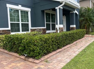Bush Trimming by Patrick Paul for Mark S. in Oakland, FL