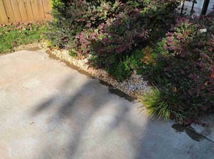 Weeding by Isaiah Cuthbertson for Zach M. in Charlotte, NC
