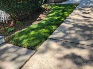 Barbara T.'s Lawn Service service result
