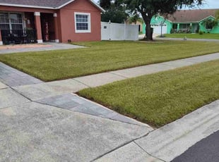 Cynthia W.'s Lawn Mowing Service service result
