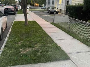 Matthew H.'s Lawn Care service result