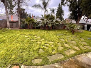 Michael G.'s Yard Cutting service result