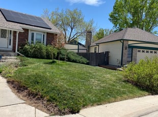 Leaf Removal by Layfloris Debramaletta for Tricia M. in Littleton, CO