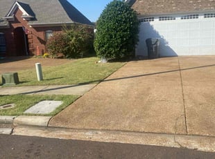 Matthew W.'s Lawn Mowing service result