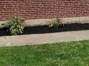 Mulching by Robert Edwards for Joshua T. in Wilmington, DE