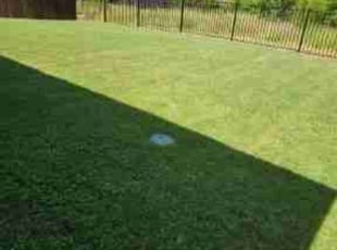 Epiphany C.'s Lawn Maintenance service result
