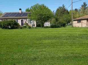 Laila K.'s Lawn Mowing service result
