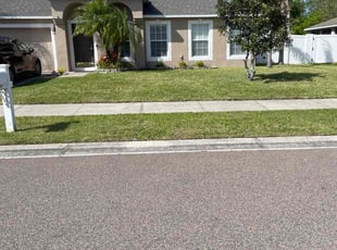 Leisa N.'s Yard Cutting service result