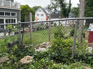 Bush Trimming by Javier Presentado for Belle C. in West Orange, NJ
