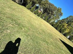 Lorraine A.'s Lawn Mowing Service service result