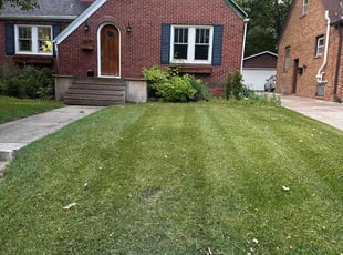 Mark Z.'s Lawn Service service result