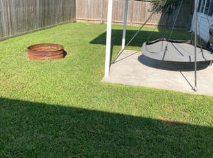 Lavinia W.'s Lawn Maintenance service result