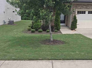 David K.'s Lawn Mowing service result