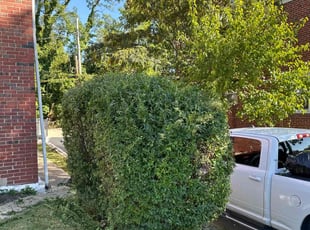 Cleanups by Melford Franklin for Bill M. in Baltimore, MD