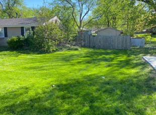 Jimmie S.'s Yard Cutting service result