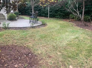 Leaf Removal by Chance Rosenberger for Rob M. in Davidson, NC