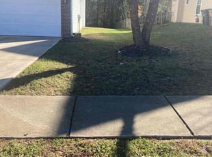 Leaf Removal by Lane McManus for Ginger B. in Indian Trail, NC