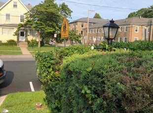 Bush Trimming by Rickey Bennett for Jamile W. in Lansdowne, PA