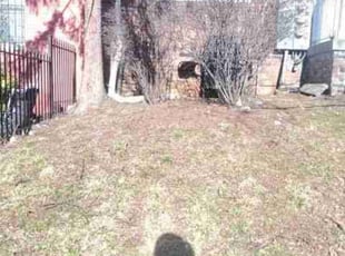 Weeding by Chris Stewart for JT P. in Washington, DC