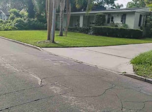Bush Trimming by Carl Ridle for Dana C. in Orlando, FL