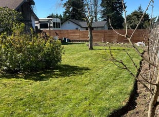 Shelby A.'s Lawn Mowing service result