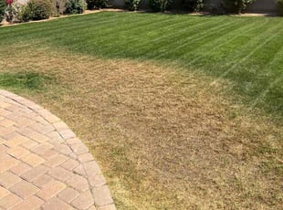 Weeding by Jonathan Bell for Ruth E. in Gilbert, AZ