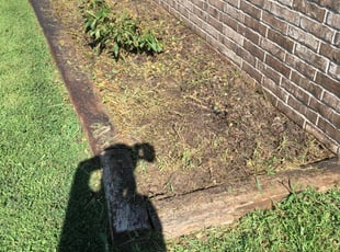 Weeding by David Sigmon for Alan B. in Wichita, KS
