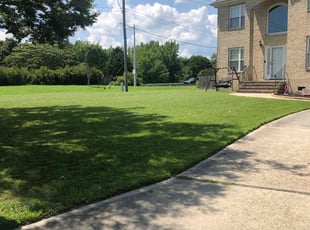 Robin F.'s Yard Cutting service result