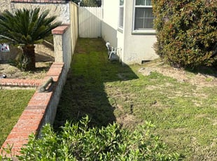 Adam M.'s Yard Cutting service result