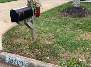 Leaf Removal by Khalim Yularnis for Stella B. in Centreville, VA