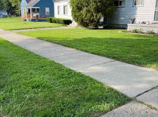 Rebecca B.'s Lawn Maintenance service result