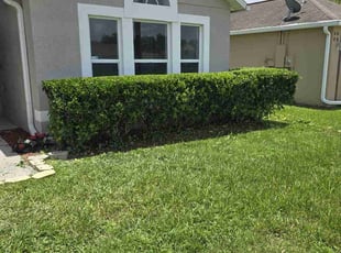 Bush Trimming by Jon Mccormick for James N. in Sanford, FL