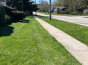 Staci O.'s Lawn Service service result