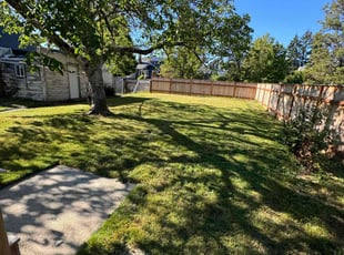 Jeff T.'s Yard Cutting service result