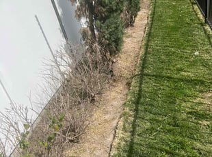 Weeding by Paul Jones for James M. in Houston, TX