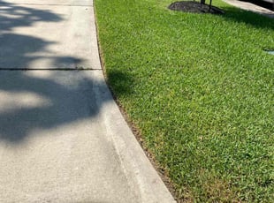 Govind R.'s Yard Cutting service result
