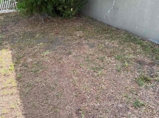 Cleanups by Arely Elrod for Elise S. in Ruskin, FL