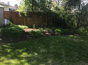 Cleanups by Cecil Little for Dani H. in Beaverton, OR