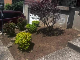 Weeding by James Abernathy for Melissa T. in Cincinnati, OH