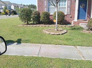 Bush Trimming by Depree Hart for Terrance W. in Rock Hill, SC