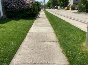 Paul G.'s Lawn Service service result